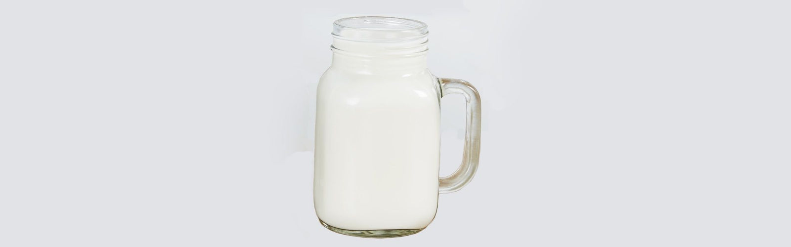 What is Whey Protein Isolate?