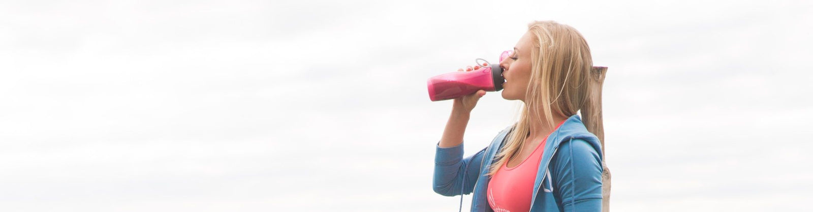 Whey Protein Alternatives