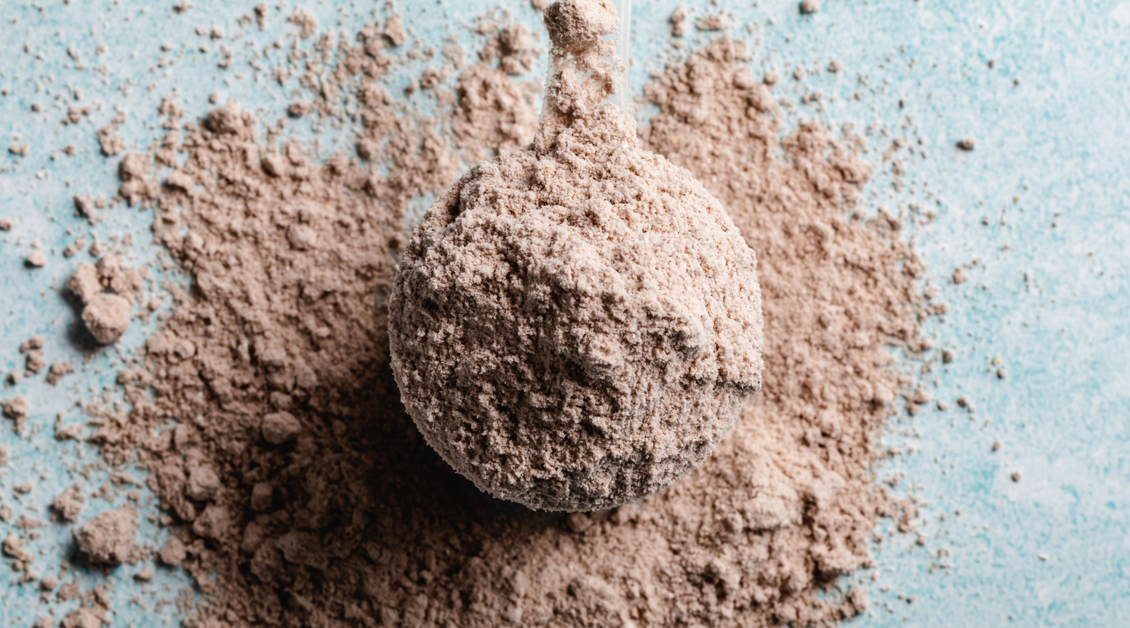 How protein powder is made