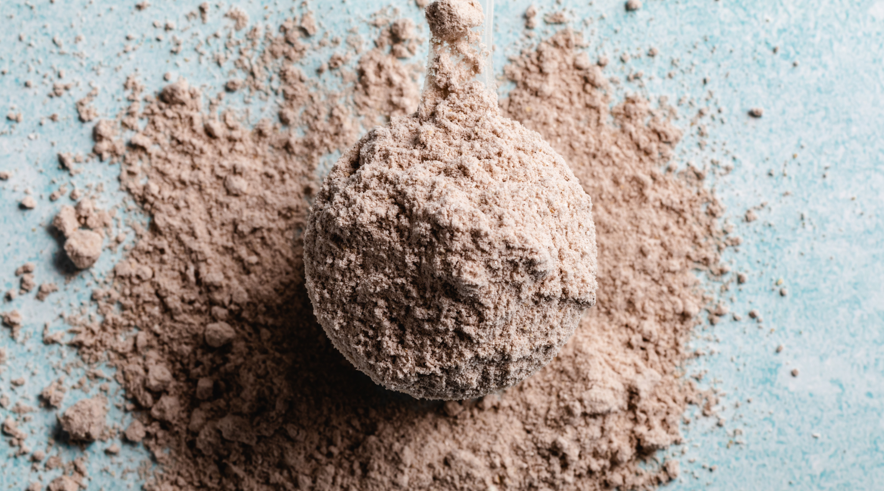How protein powder is made
