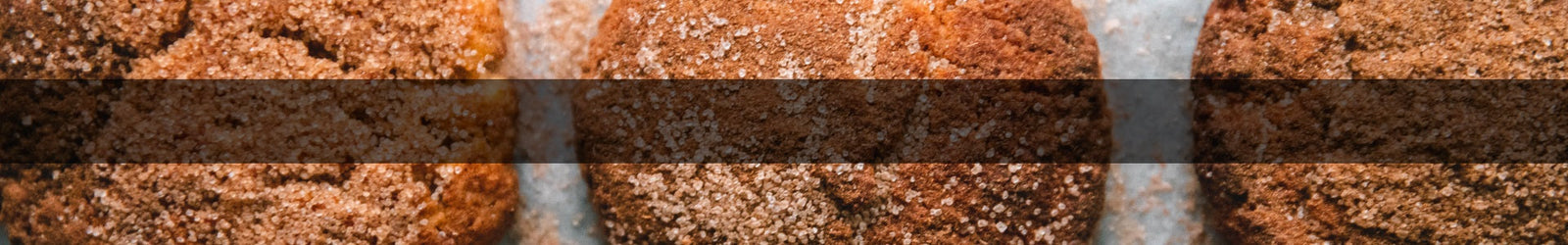 Protein Snickerdoodles