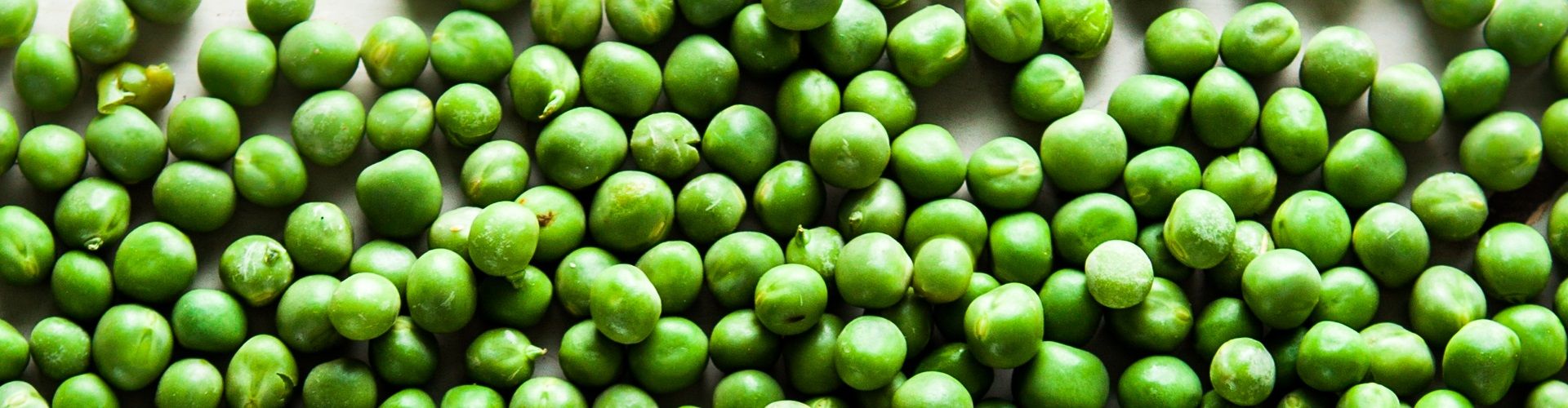 What is Pea Protein Isolate?